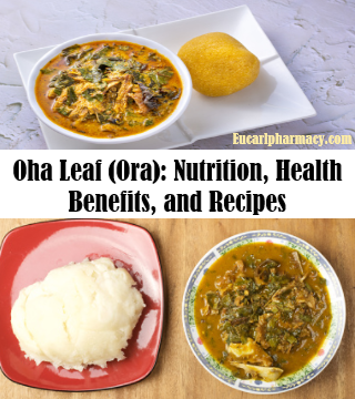 Oha Leaf (Ora): Nutrition, Health Benefits, and Recipes