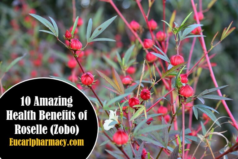 10 Amazing Health Benefits of Roselle (Zobo)