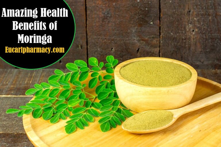 Moringa Benefits for Health, Hair, Skin, and Men