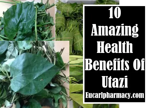 Amazing Health Benefits Of Utazi