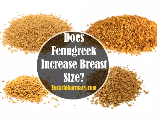 Does Fenugreek Increase Breast Size?