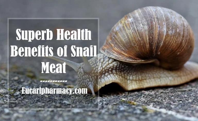 10 Superb Health Benefits of Snail Meat
