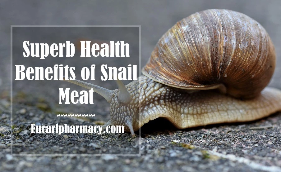 Health Benefits of Snail Meat
