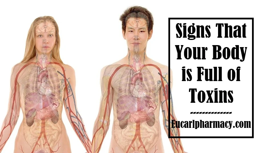 Signs That Your Body is Full of Toxins