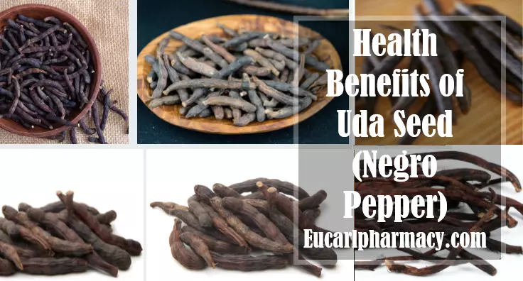 10 Pure Health Benefits of Uda Seed (Negro Pepper)