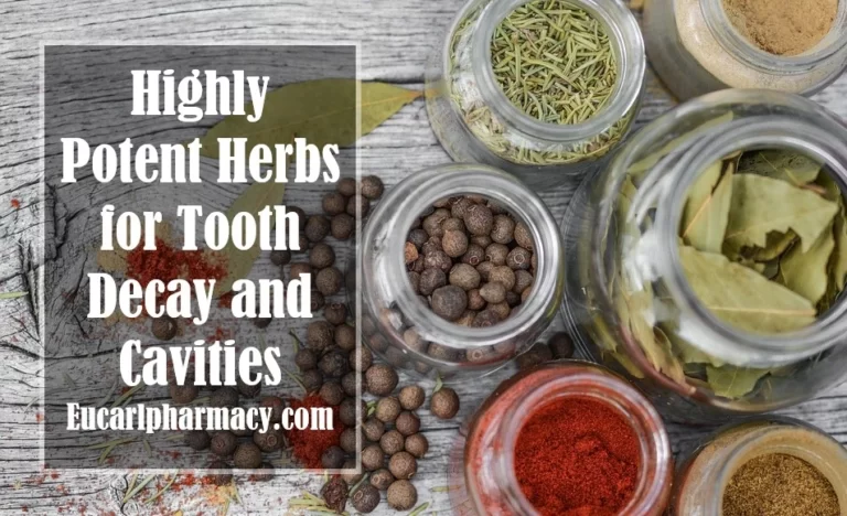Highly Potent Herbs For Tooth Decay And Cavities