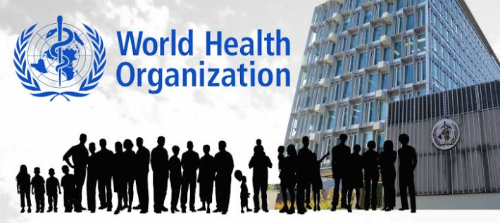 World Health Organization Country Offices And Contacts