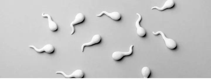 Releasing Sperm Daily: Are There Any Disadvantages?