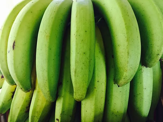 10 Unique Health Benefits of Unripe Bananas