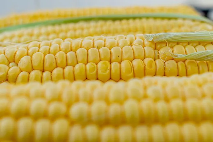 10 Unique Health Benefits of Yellow Corn