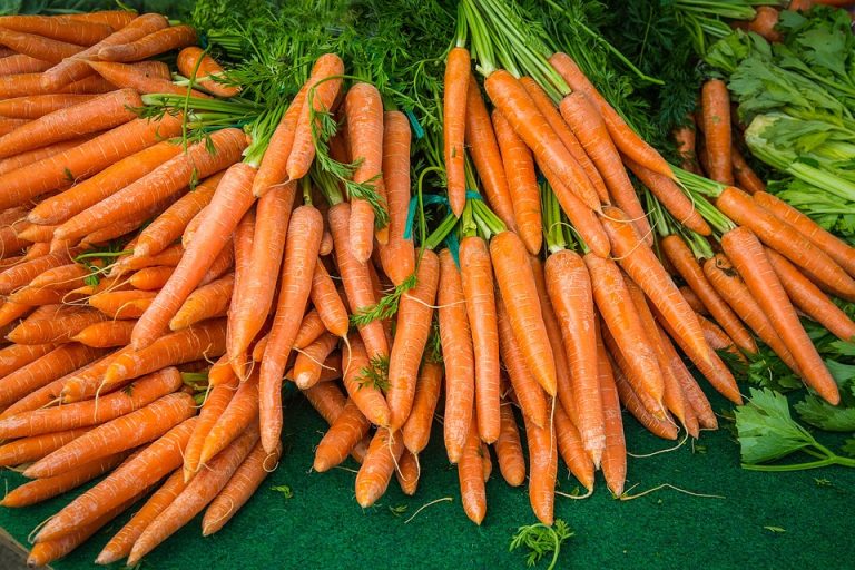 10 Notable Health Benefits of Carrots For Men