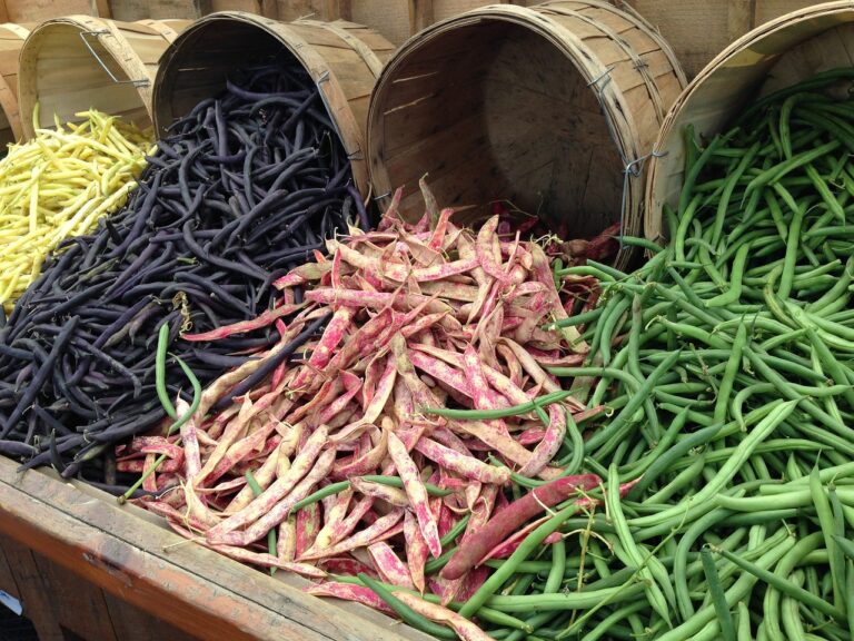 Legumes vs Beans: Differences Between Legumes and Beans